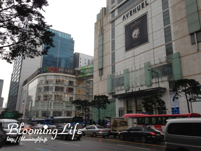 $韓国大好き!FTISLAND大好き!ブルーミングライフ管理人ブログ