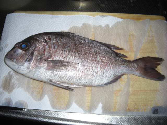 $韓国ドラマOSTショップ★ブルーミングライフ管理人ブログ