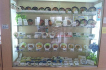 $Blooming Life-DSC_0043.JPG