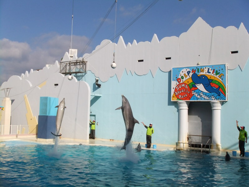 $韓国大好き!FTISLAND大好き!ブルーミングライフ管理人ブログ