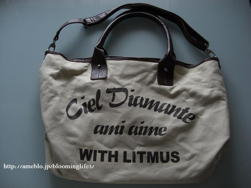 $韓国大好き!FTISLAND大好き!ブルーミングライフ管理人ブログ