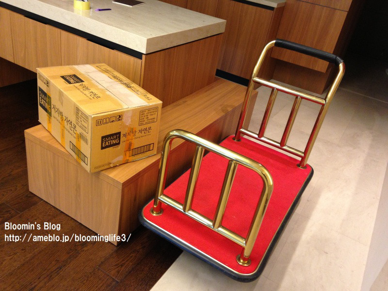 $韓国大好き!FTISLAND大好き!ブルーミングライフ管理人ブログ