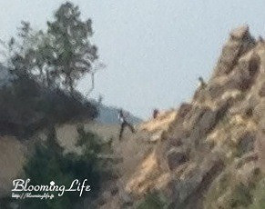 $韓国大好き!FTISLAND大好き!ブルーミングライフ管理人ブログ