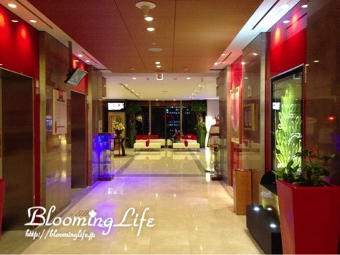 $韓国大好き!FTISLAND大好き!ブルーミングライフ管理人ブログ-image