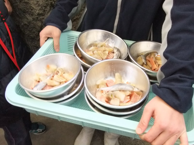 $韓国大好き!FTISLAND大好き!ブルーミングライフ管理人ブログ